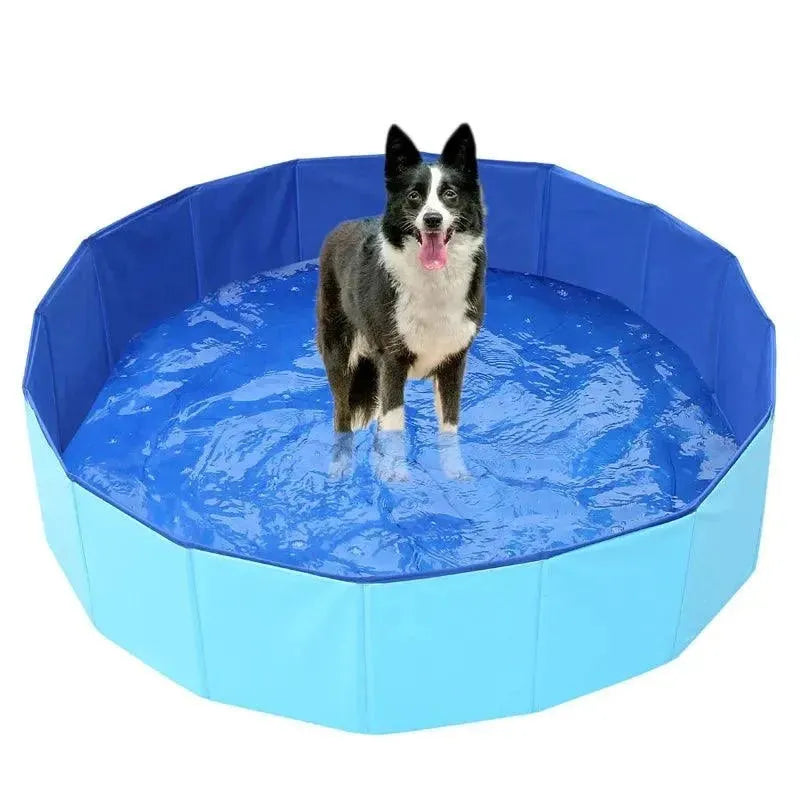 piscina para pet - Patas D'Luxo