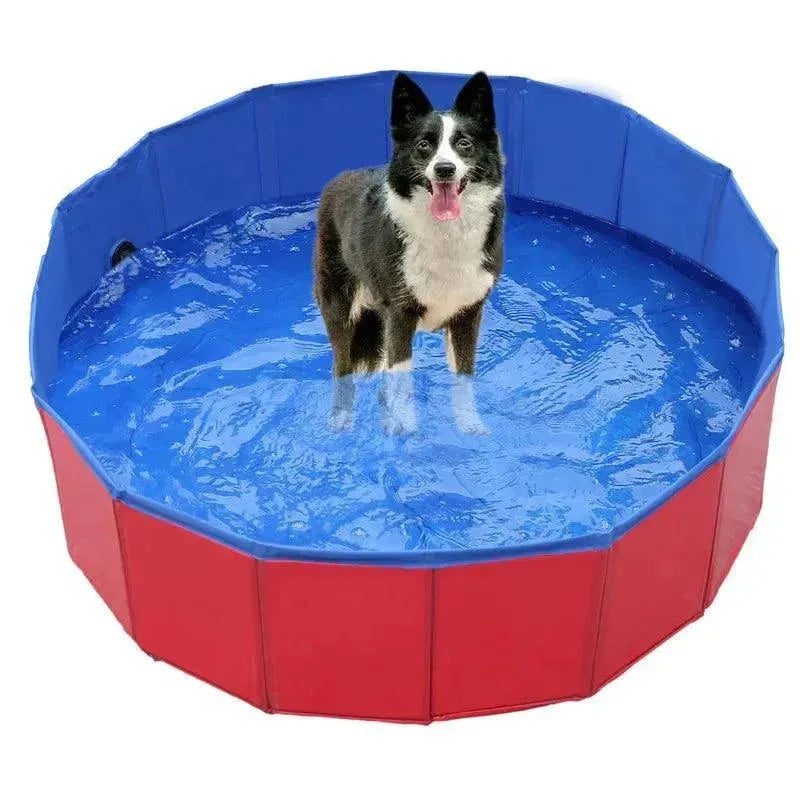 piscina para pet - Patas D'Luxo