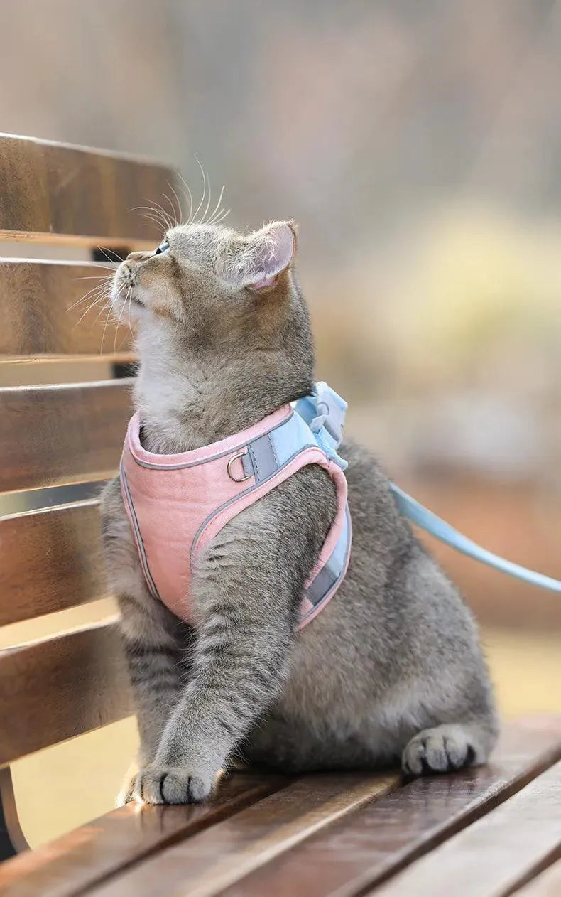 Coleira peitoral para gatos ao ar livre - Patas D'Luxo