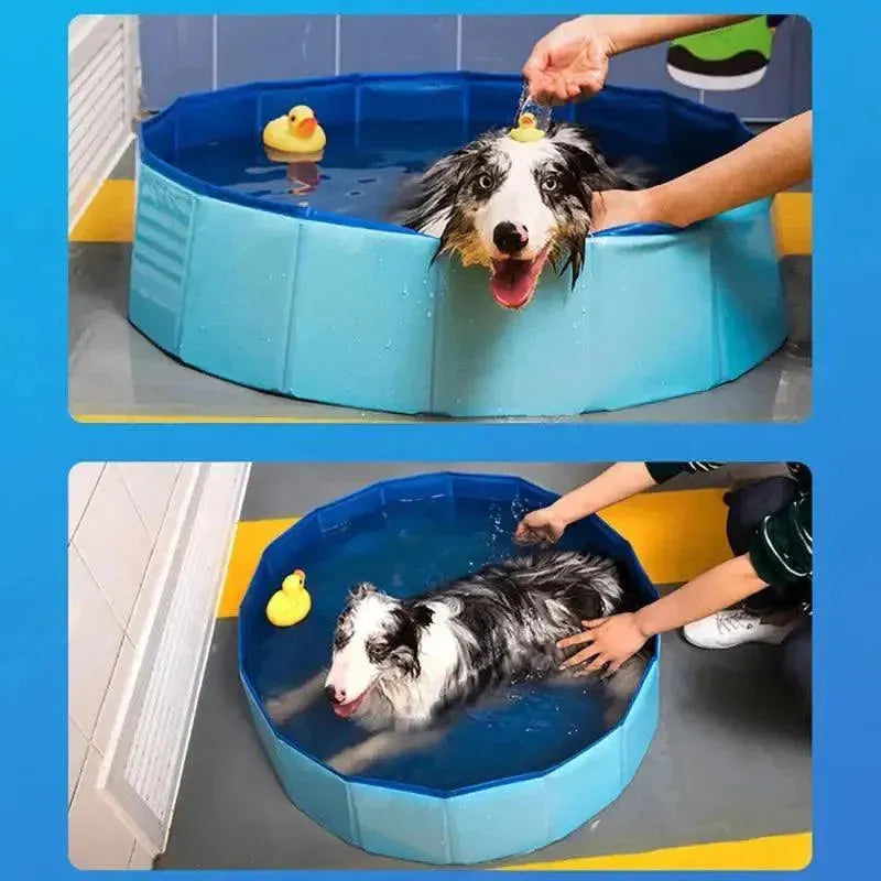 piscina para pet - Patas D'Luxo