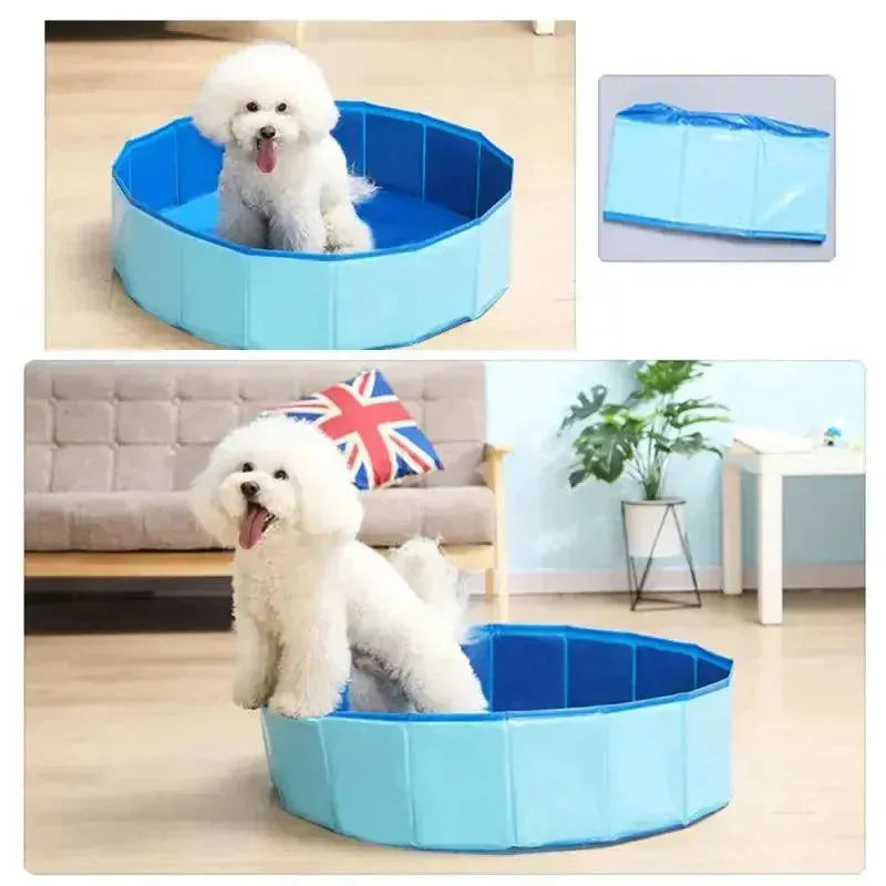 piscina para pet - Patas D'Luxo