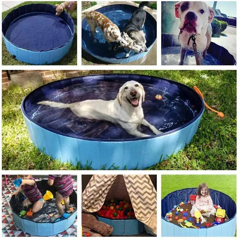 piscina para pet - Patas D'Luxo