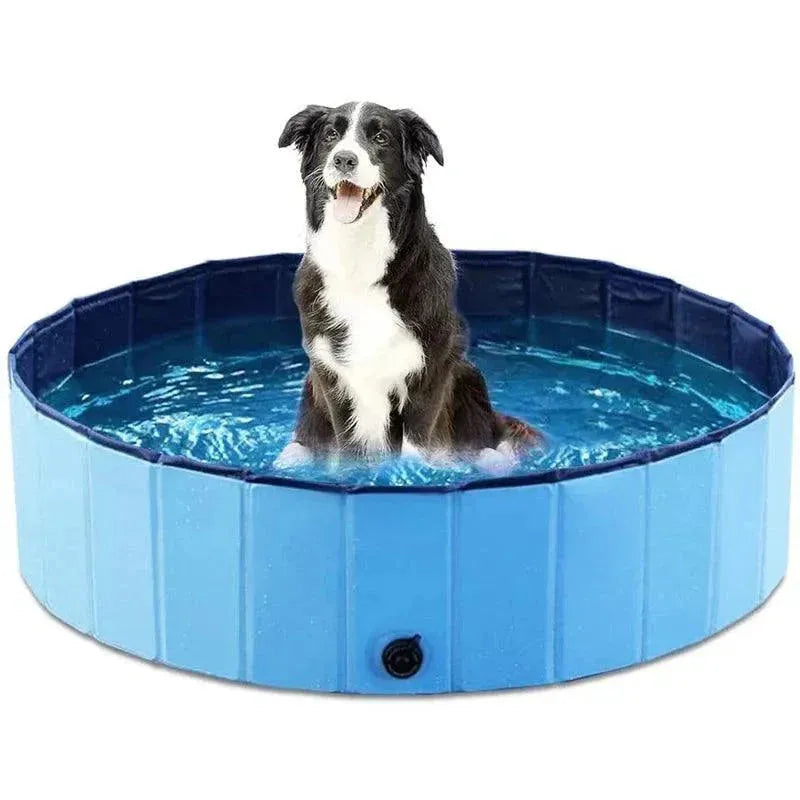 piscina para pet - Patas D'Luxo