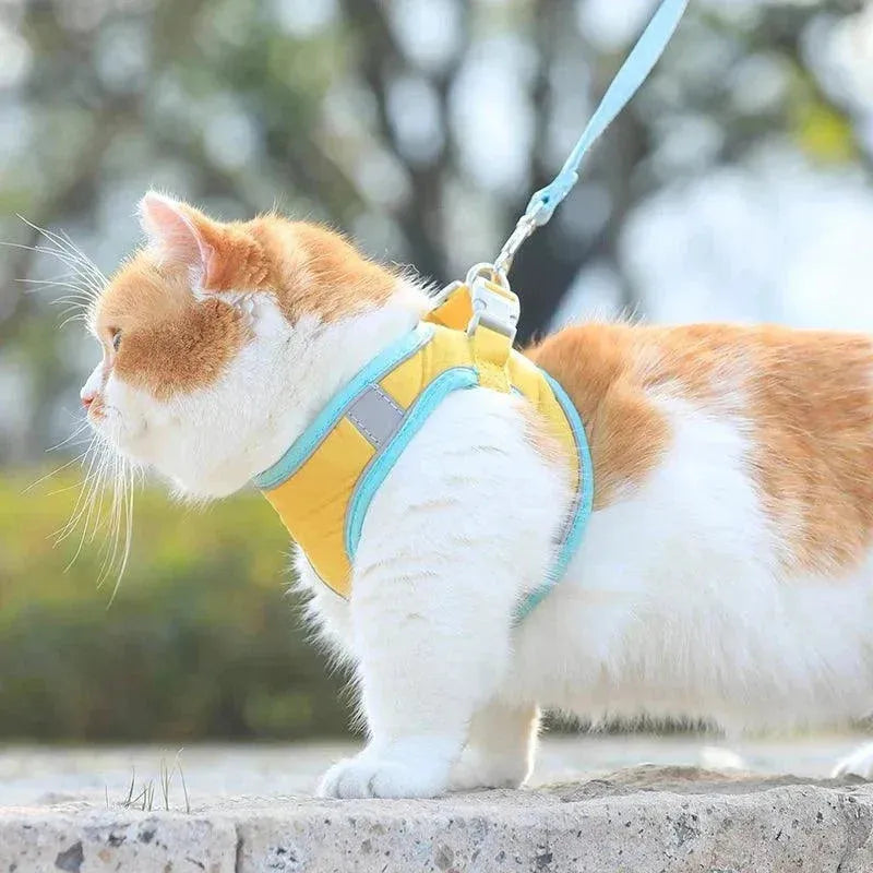 Coleira peitoral para gatos ao ar livre - Patas D'Luxo