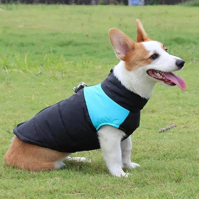 casaco pet para inverno - Patas D'Luxo