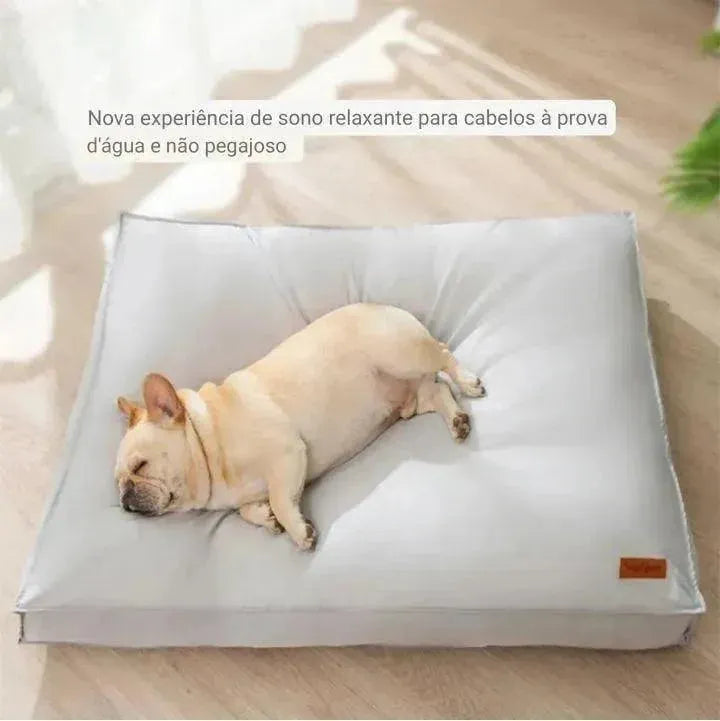 Cama confortavel para cães - Patas D'Luxo