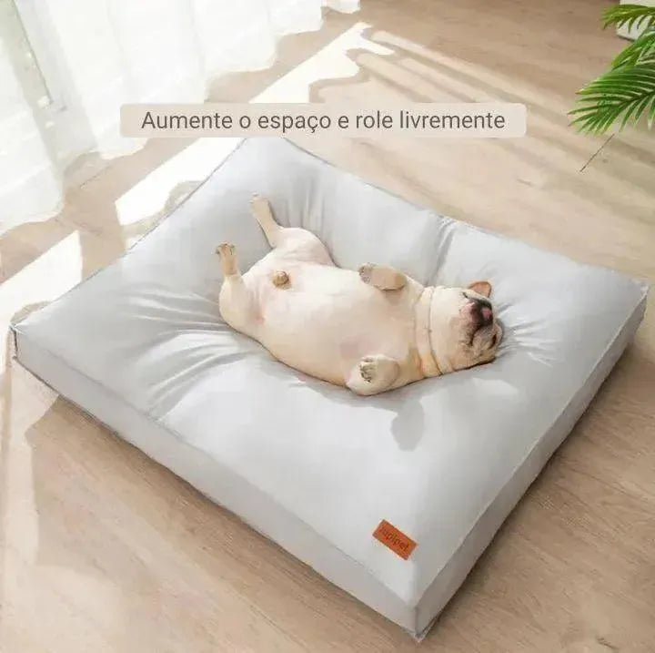 Cama confortavel para cães - Patas D'Luxo