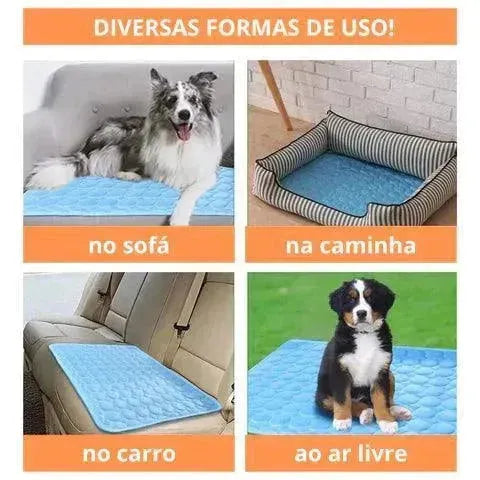 tapete gelado para pet - Patas D'Luxo